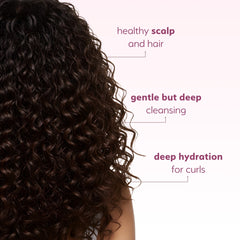 Moisture Balance Shampoo - Curly Hair