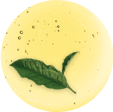 Green Tea <br> Leaf Oil