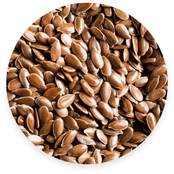 Linseed Seed <br> Extract